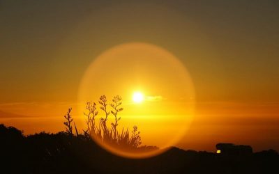 Résumé du Livre 12 jours de Eric Behanzin